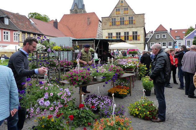 Impressionen vom Blumen- und Spargelmarkt in Werne