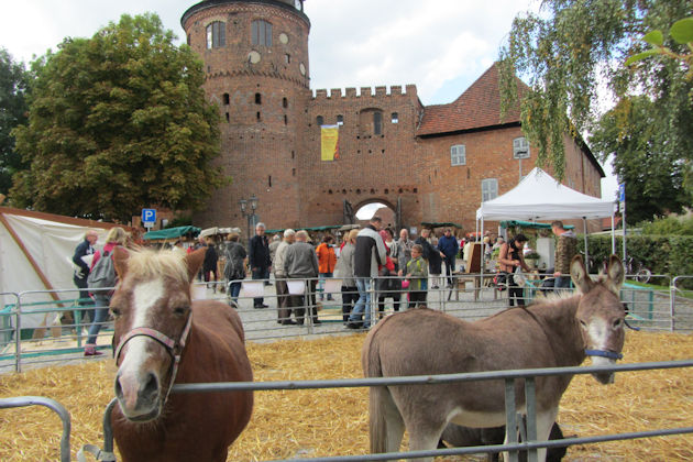 BurgArt - Pflanzen- & Handwerkerkunstmarkt heißt es zweimal im Jahr auf Burg Neustadt-Glewe