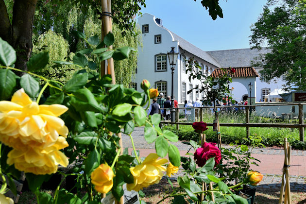 Impressionen von GartenLeben im Freilichtmuseum Dorenburg in Grefrath