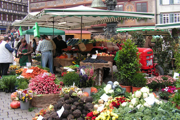 Impressionen vom Regionalmarkt in Tübingen
