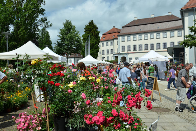 Impressionen vom Rosenmarkt Schloss Großlaupheim